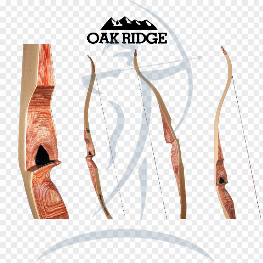 Bow And Arrow Hunting Recurve Archery PNG
