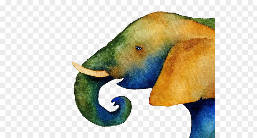Elephant Watercolor Painting Wildlife PNG