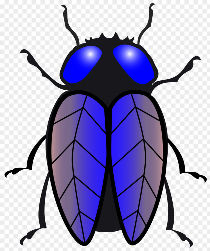 Fly Housefly Insect Clip Art PNG