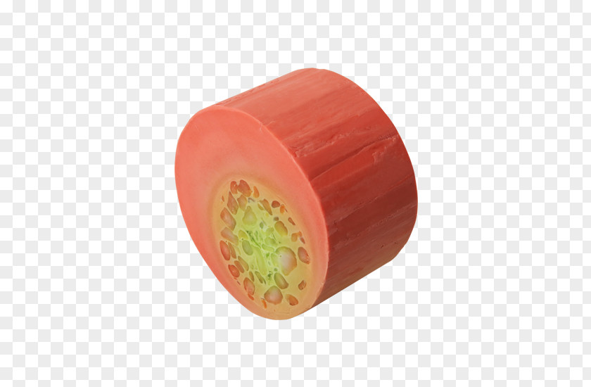 Lush Plastic PNG