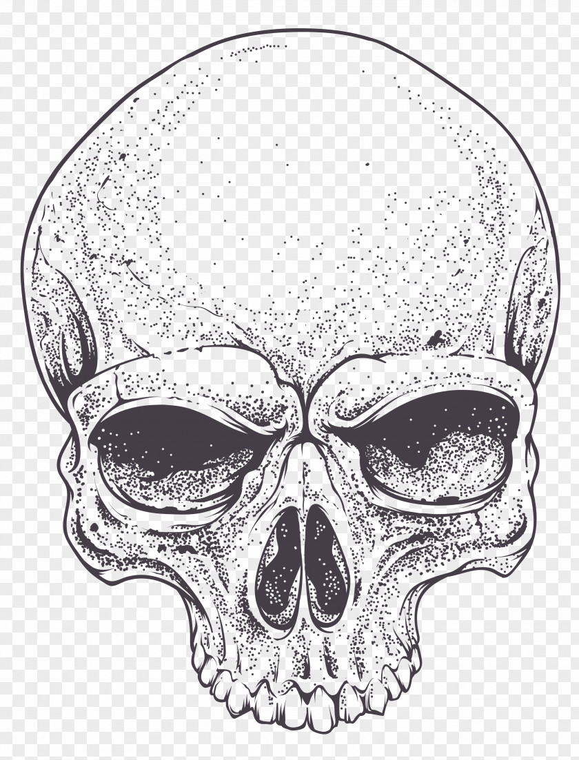 Rollup Banner Royalty-free Skull PNG