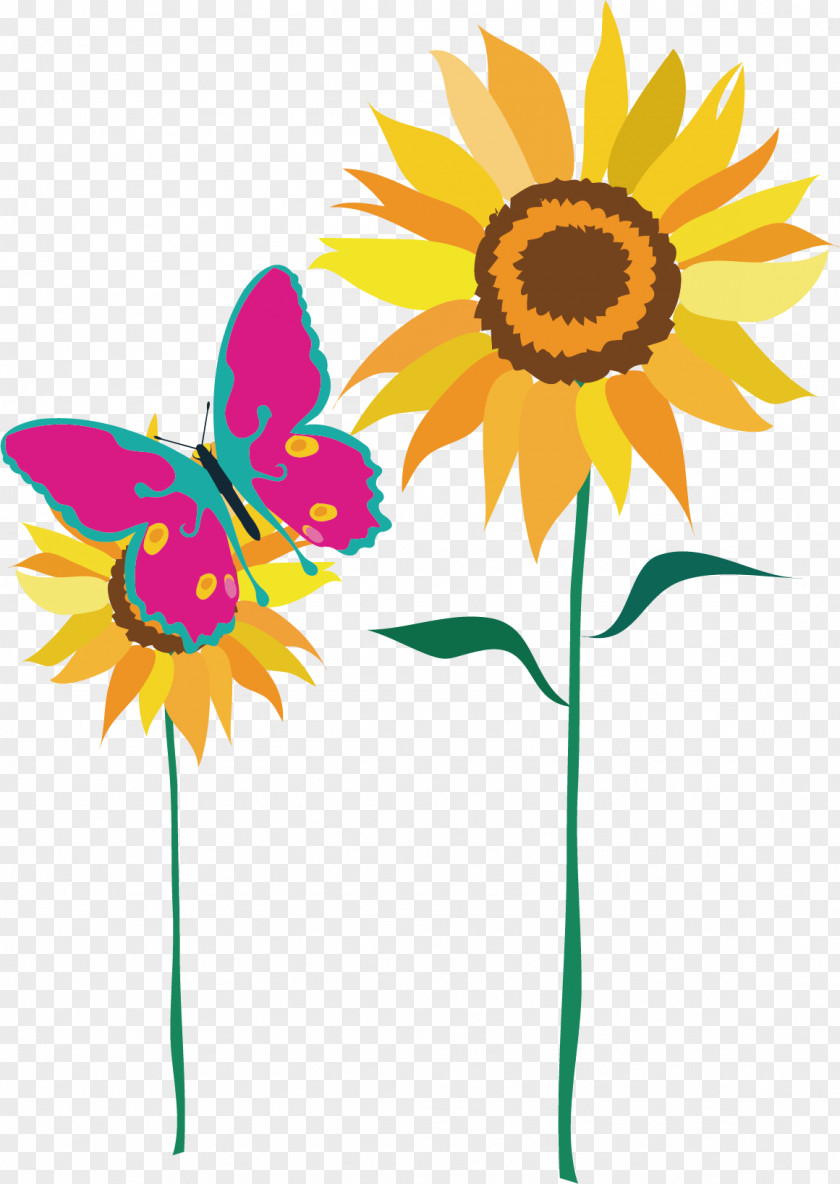 Sunflower Material Picture Common PNG