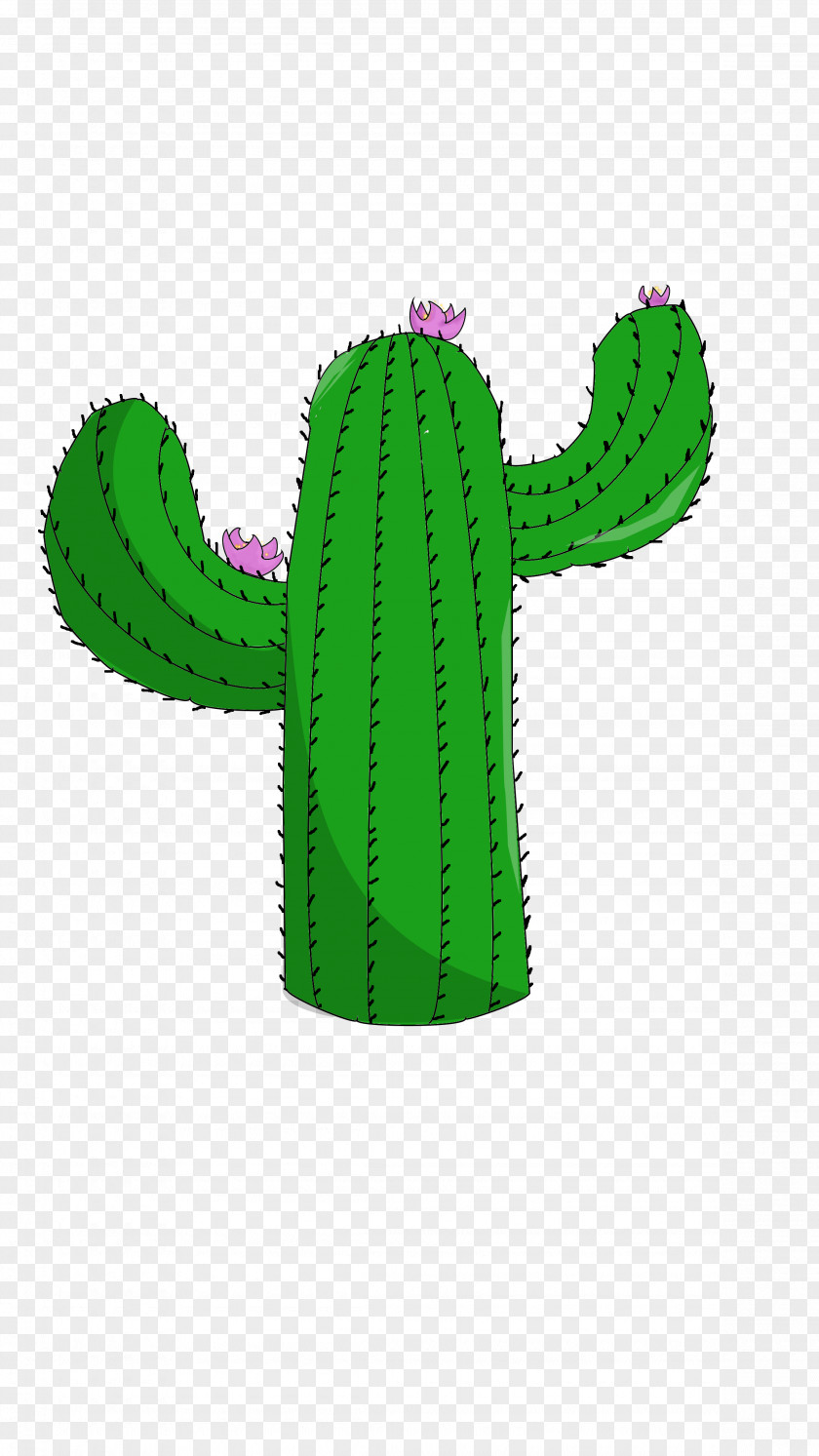 Cactus Clip Art Saguaro Echinocereus PNG