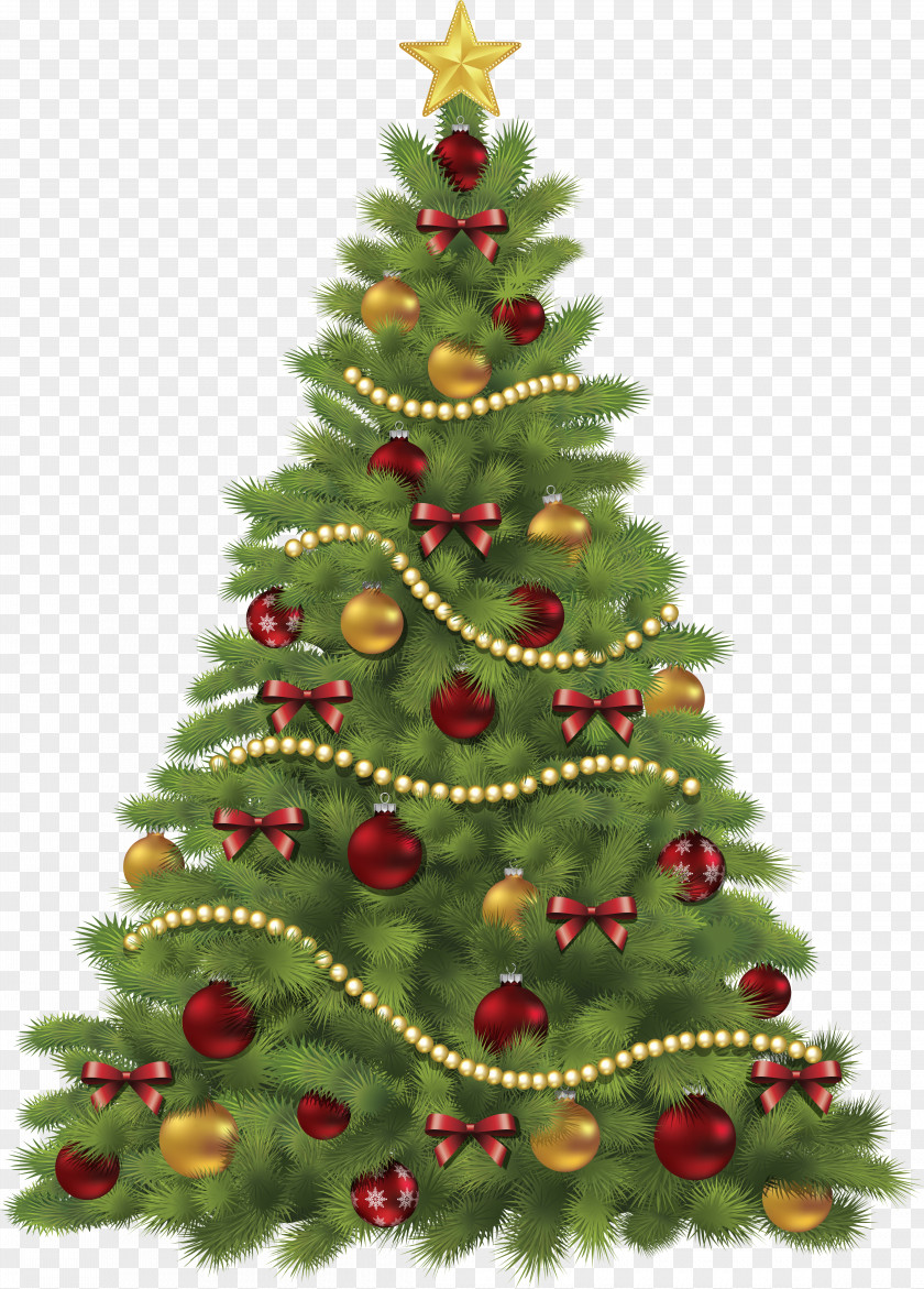 Christmas Tree Clip Art PNG