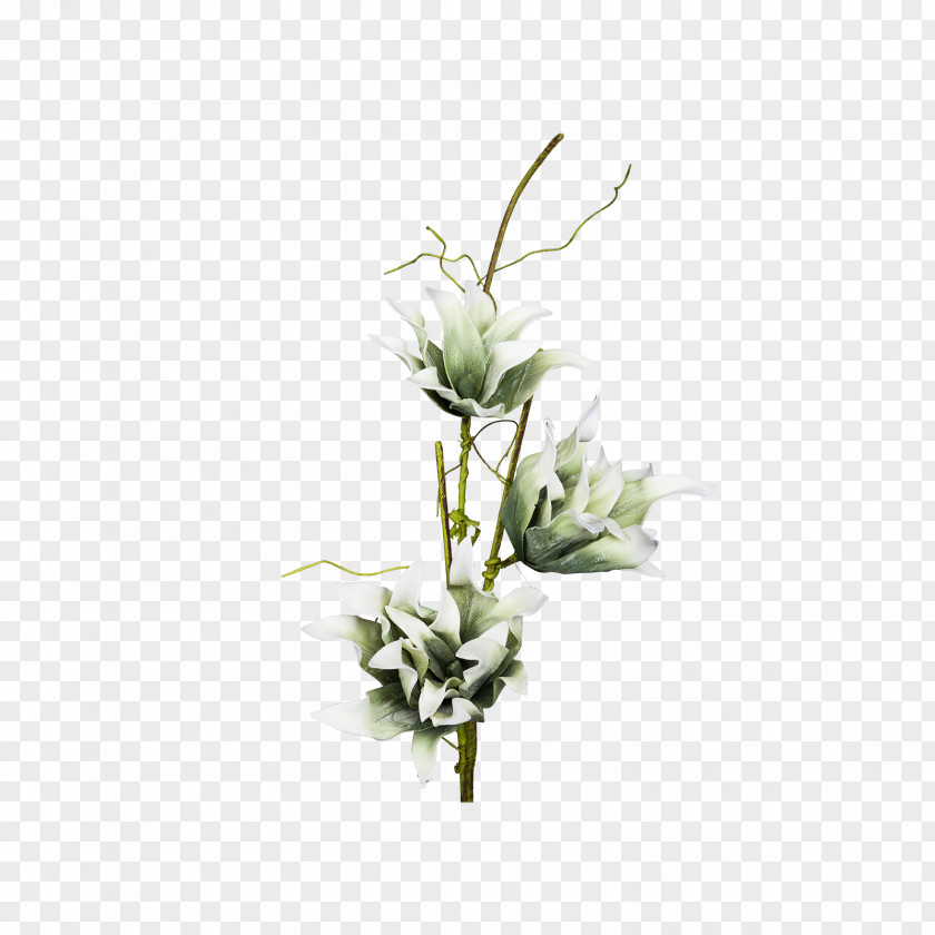 Flower Floral Design Cut Flowers Vase Ornamental Plant PNG