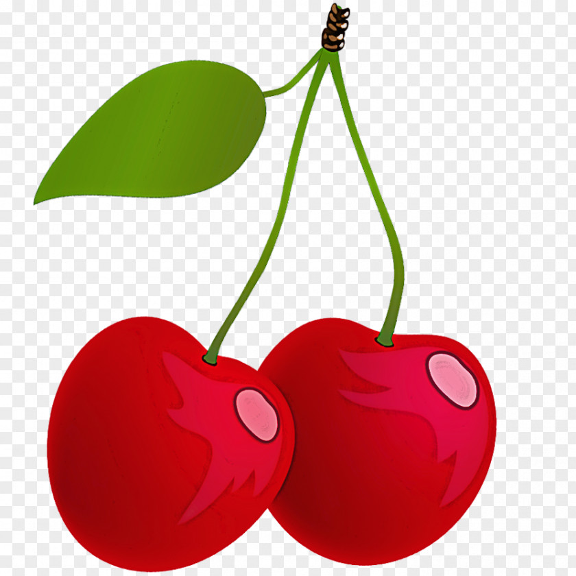 Heart Food Cherry Red Fruit Plant Leaf PNG
