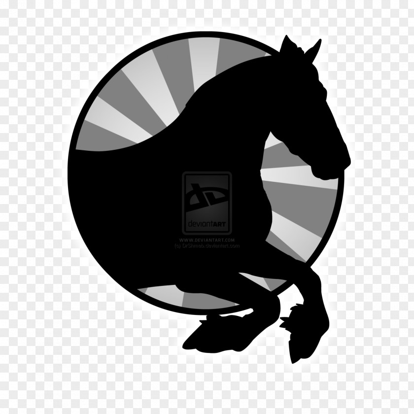 Mustang Stallion Dressage Pony Rein PNG