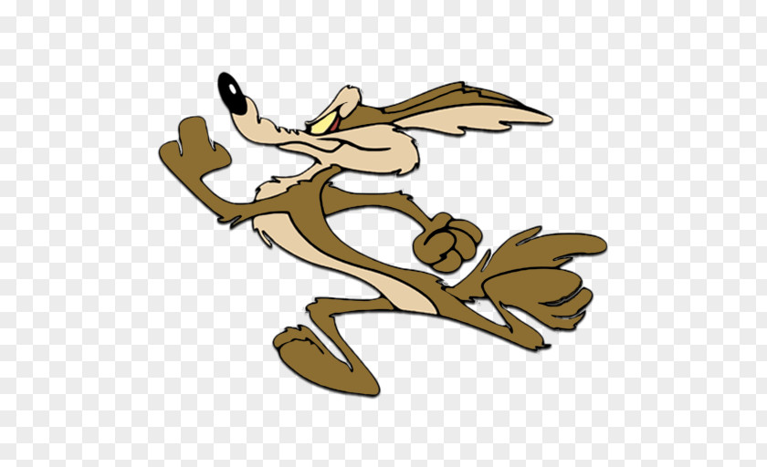 Runner Wile E. Coyote And The Road Looney Tunes PNG
