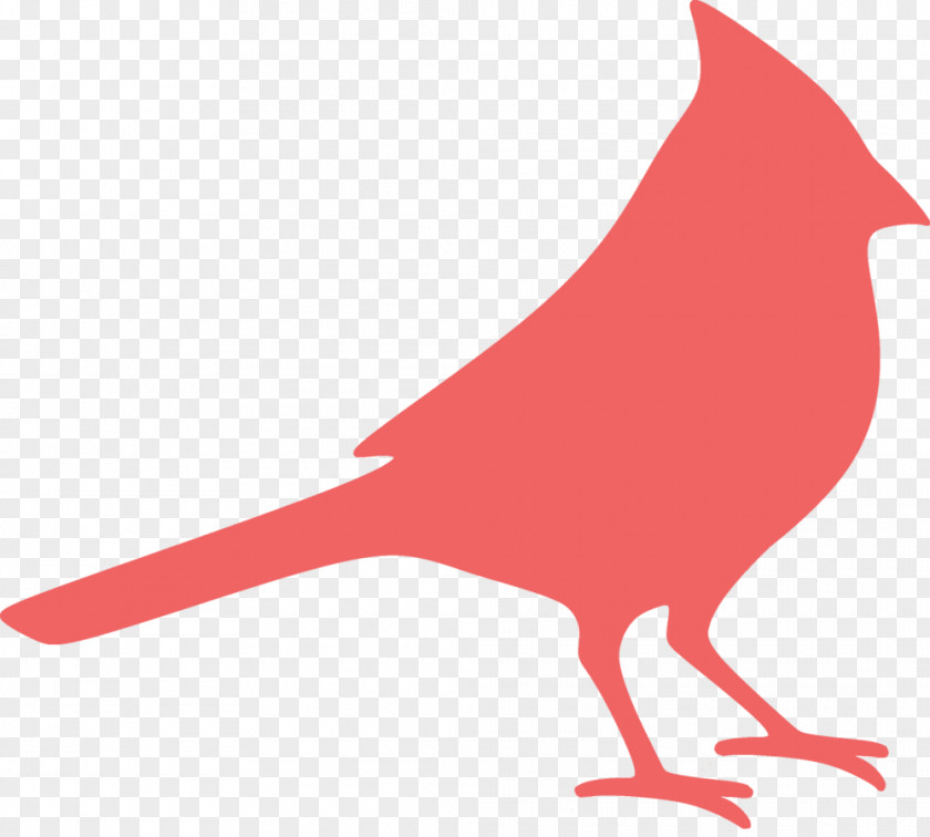 Silhouette Northern Cardinal Clip Art PNG