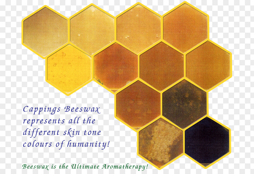 Bee Honey Honeycomb Font PNG