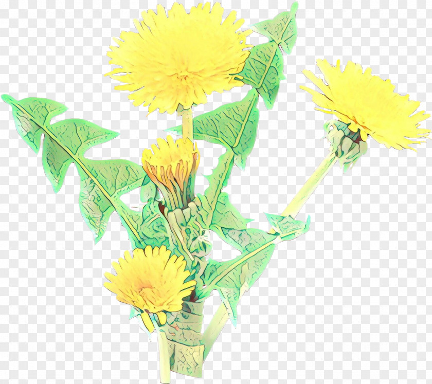 English Marigold Sow Thistles Flower Dandelion Yellow Cut Flowers Plant PNG