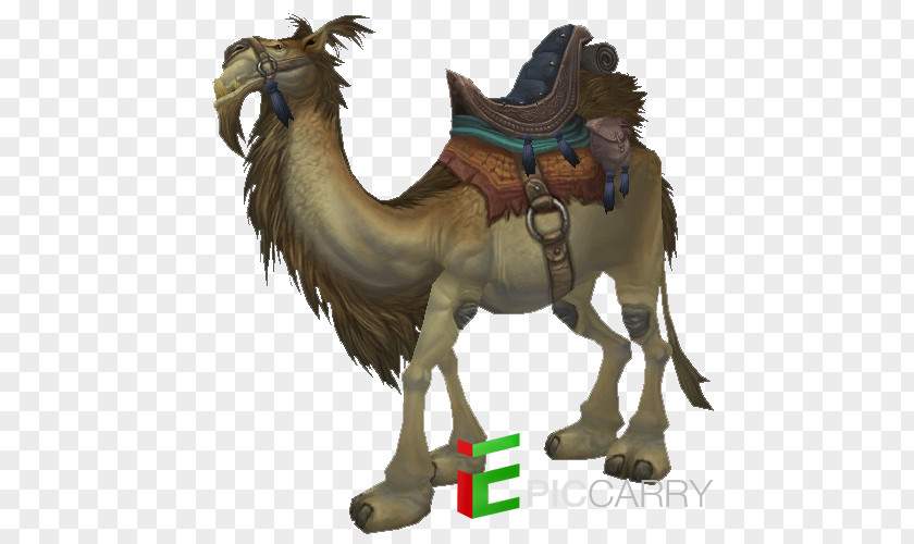 Horse Dromedary World Of Warcraft: Battle For Azeroth Legion Equestrian PNG