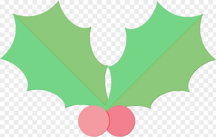 Plane Symbol Holly PNG