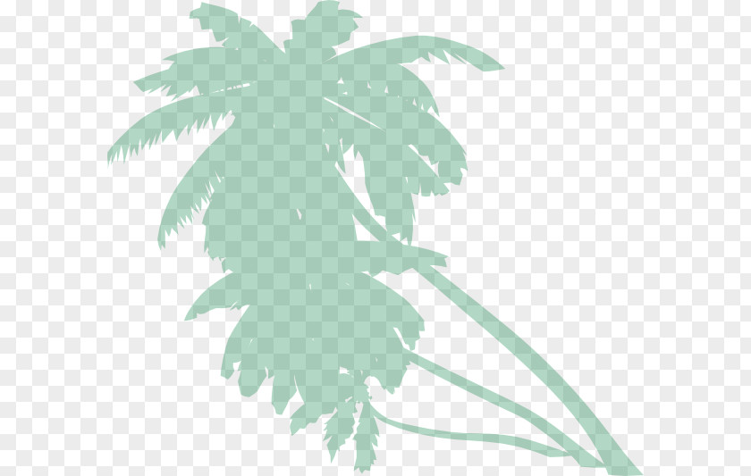 Rainforest Vector Arecaceae Tree Clip Art PNG