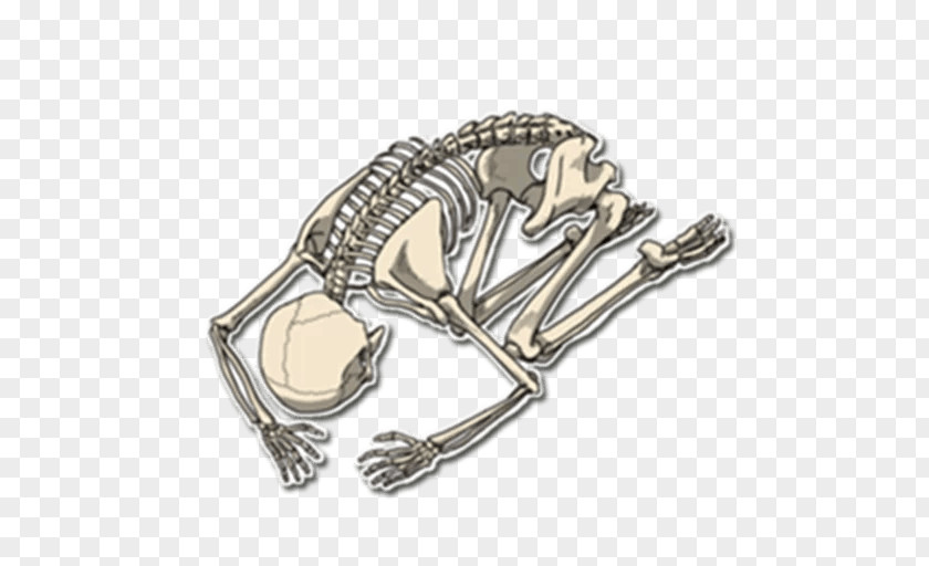 Skeleton Sticker Telegram Messaging Apps PNG