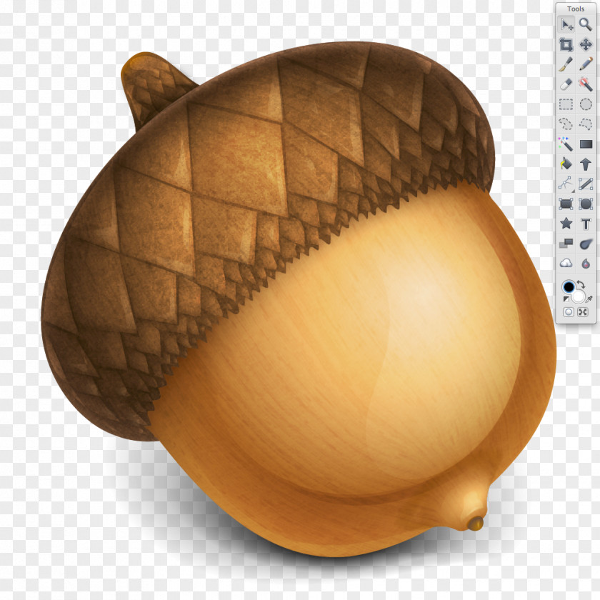 Acorn Graphics Software Image Editing Clip Art PNG