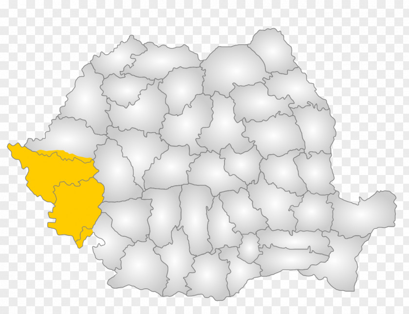 Bant Romanian Banat Vestra Industry Timiș County Arad Wikiwand PNG