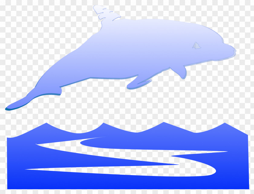 Dolphin Common Bottlenose Tucuxi Porpoise Marine Mammal PNG