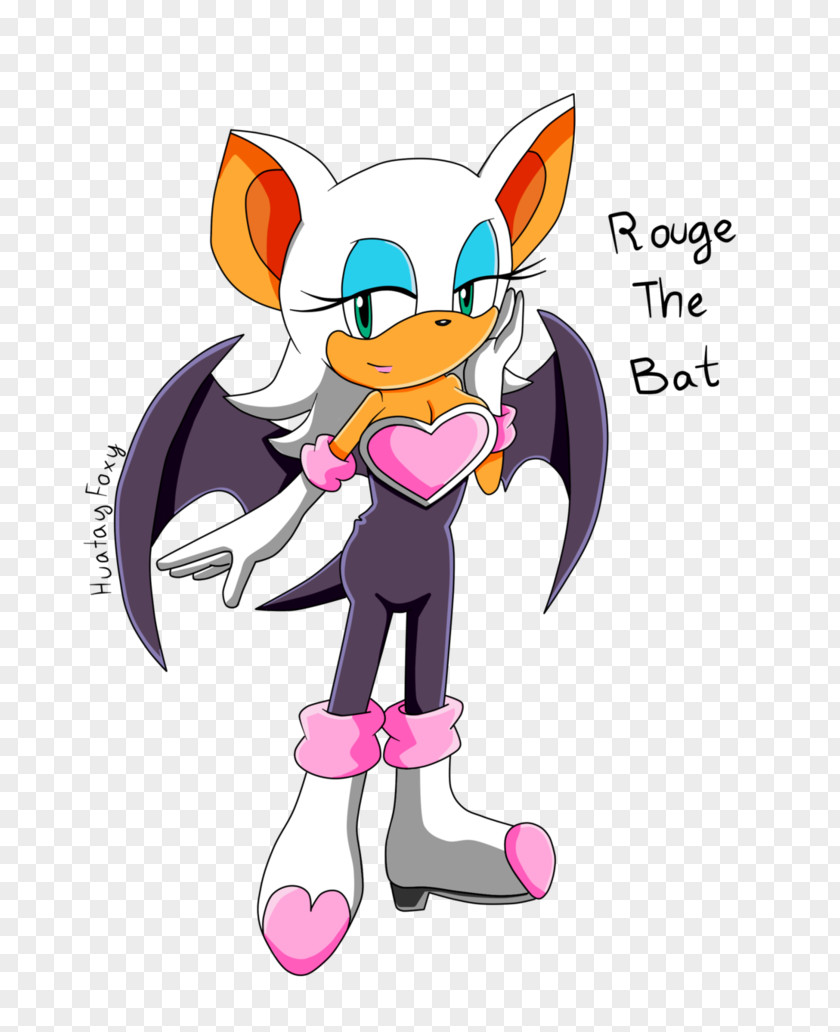 Sonic The Hedgehog Rouge Bat Tails Heroes Knuckles Echidna PNG