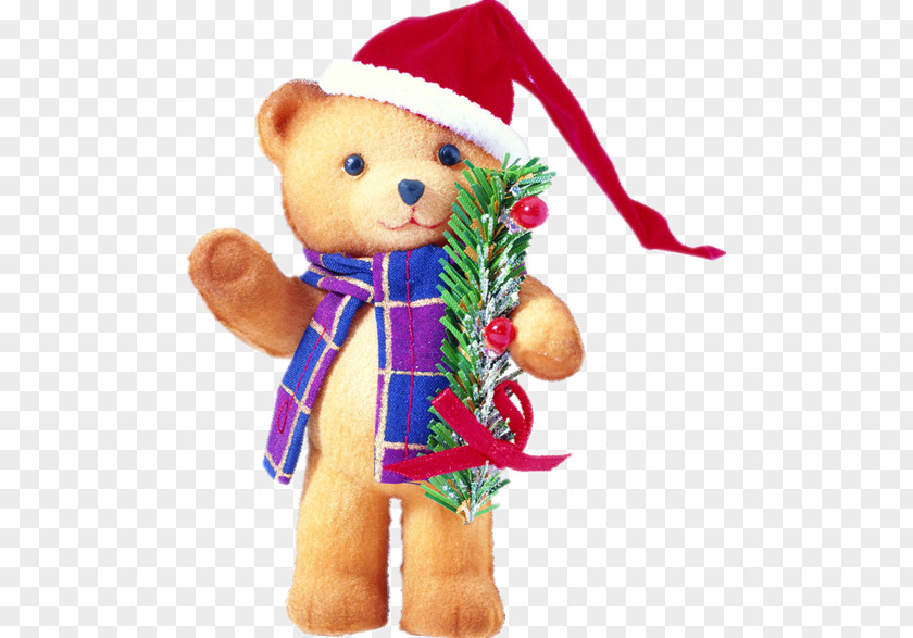 Bear With Christmas Hats Santa Claus Card PNG