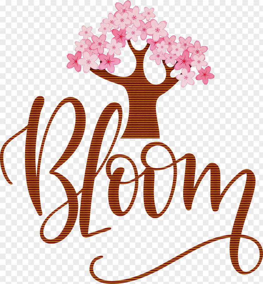 Bloom Spring PNG