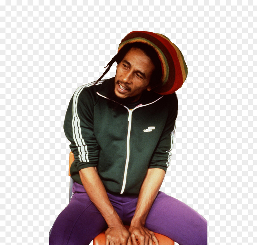 Bob Marley One Love: The Very Best Of & Wailers Nine Mile Reggae PNG
