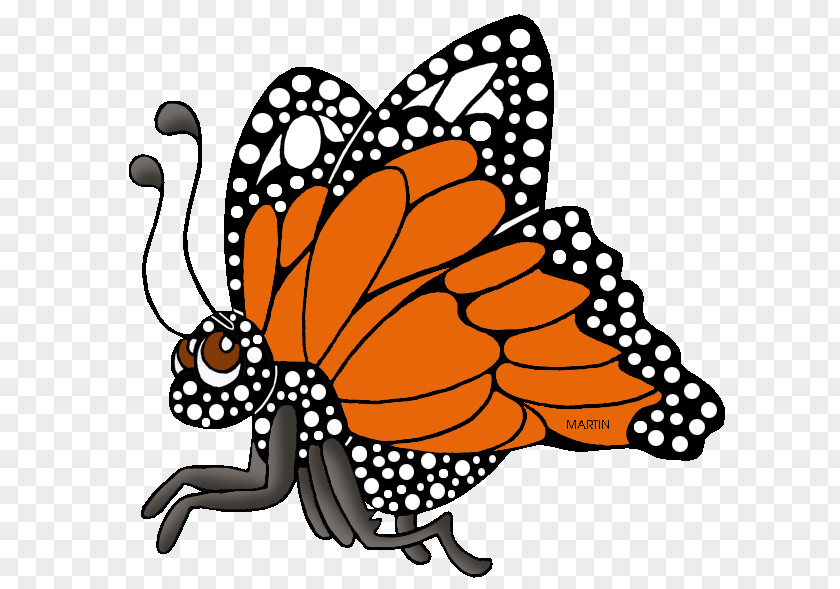 Butterfly Monarch Insect Texas Clip Art PNG