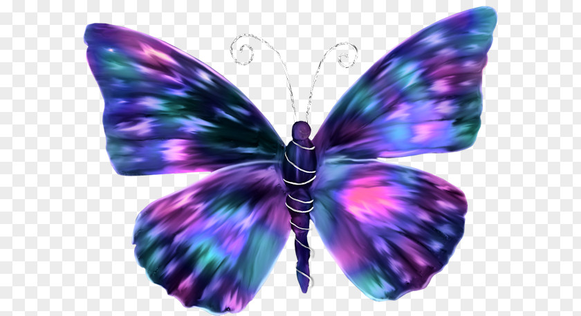 Cool Butterfly Butterflies In Colour Insect Paper Color PNG