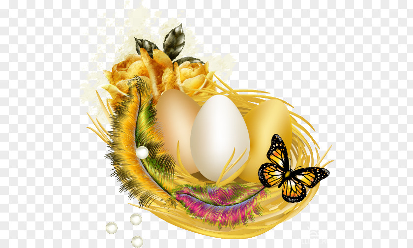 Eggs Collaction Bird Nest Egg Edible Bird's PNG