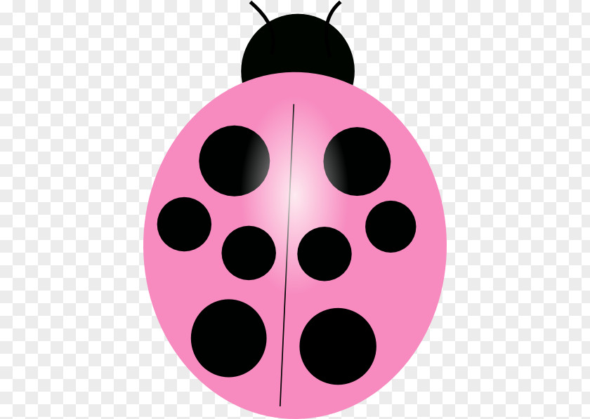 Outline Ladybug Pupa Ladybird Beetle Clip Art Vector Graphics PNG