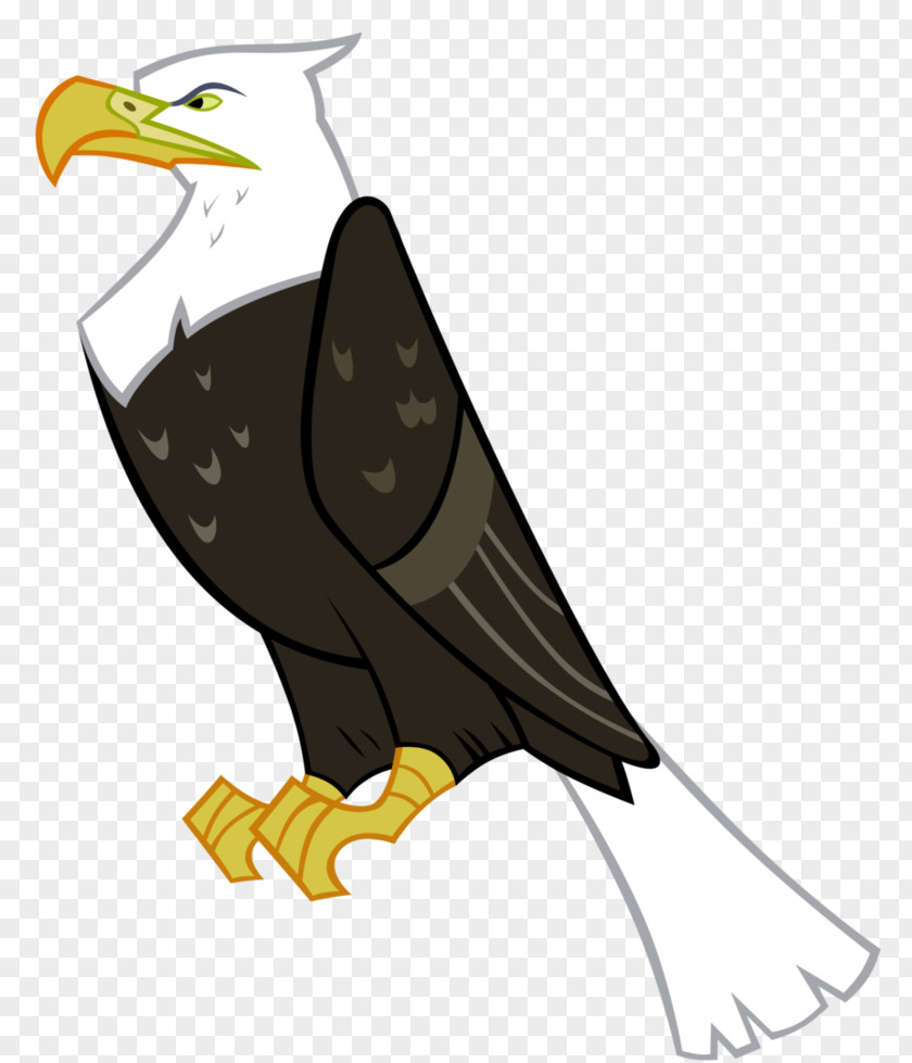 Ben Vector Bald Eagle My Little Pony PNG