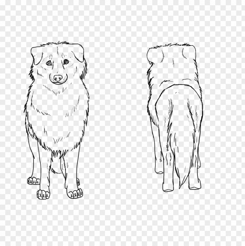 Dog Breed Snout Line Art Sketch PNG