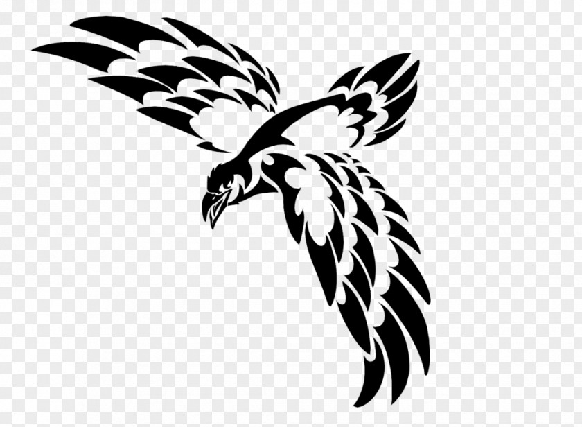 Eagle Wings Tattoo Drawing PNG