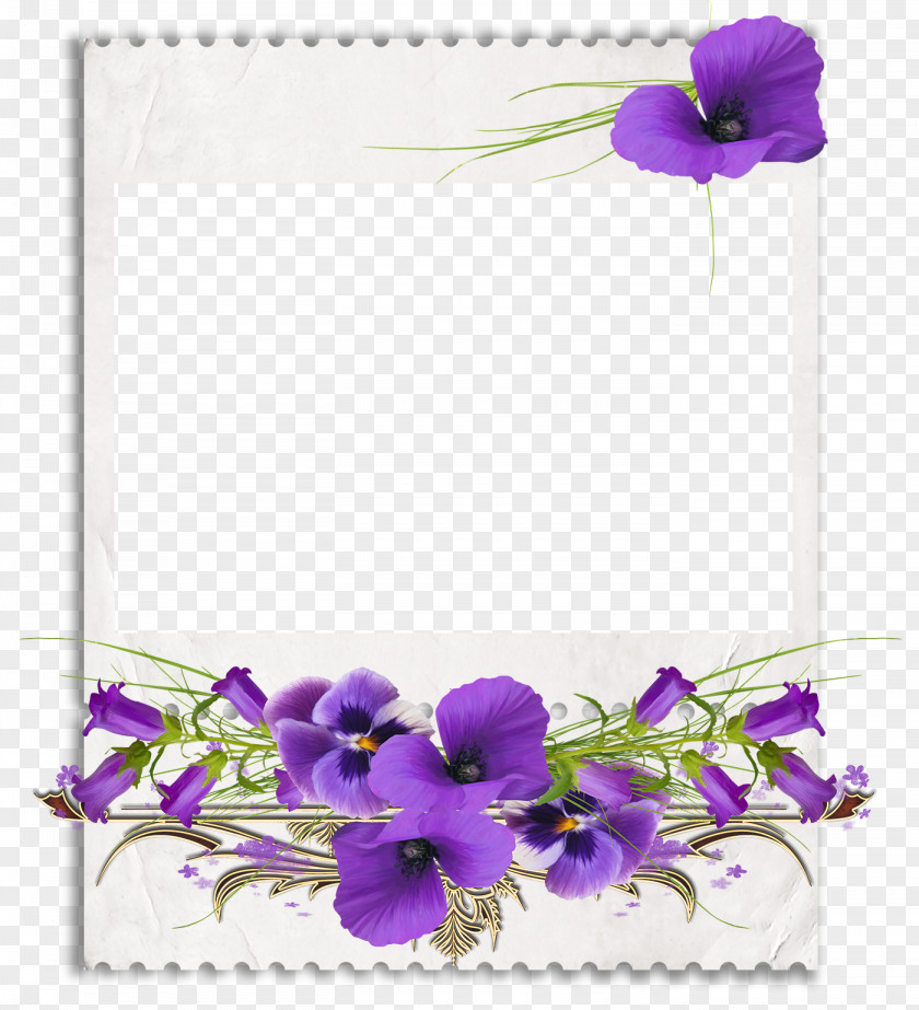 Flower Frames African Violets Clip Art PNG
