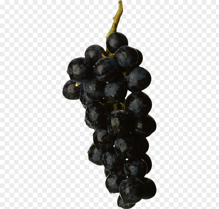 Grape White Wine Image File Formats PNG