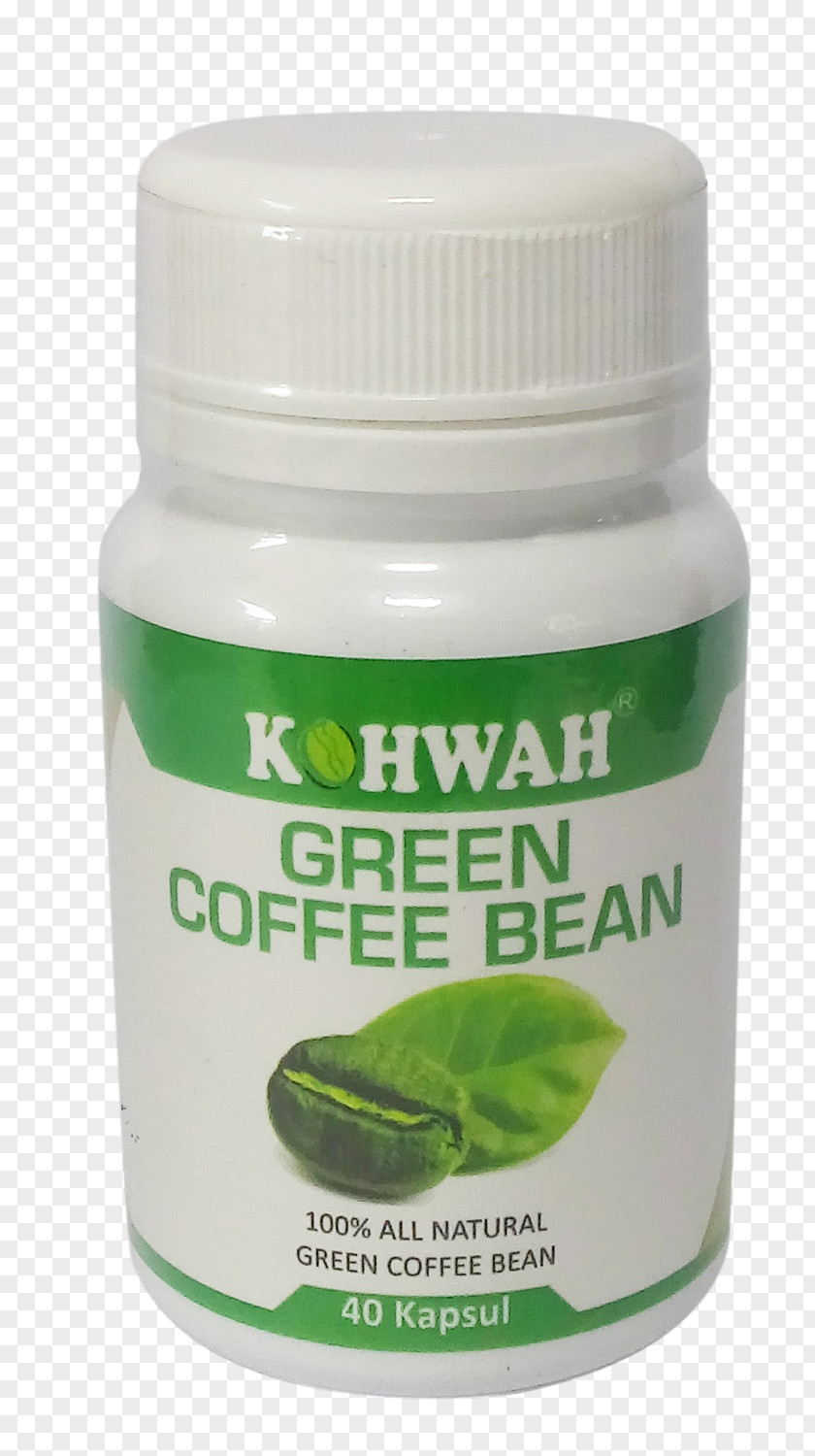Green Coffee Beans Herbalism Product PNG