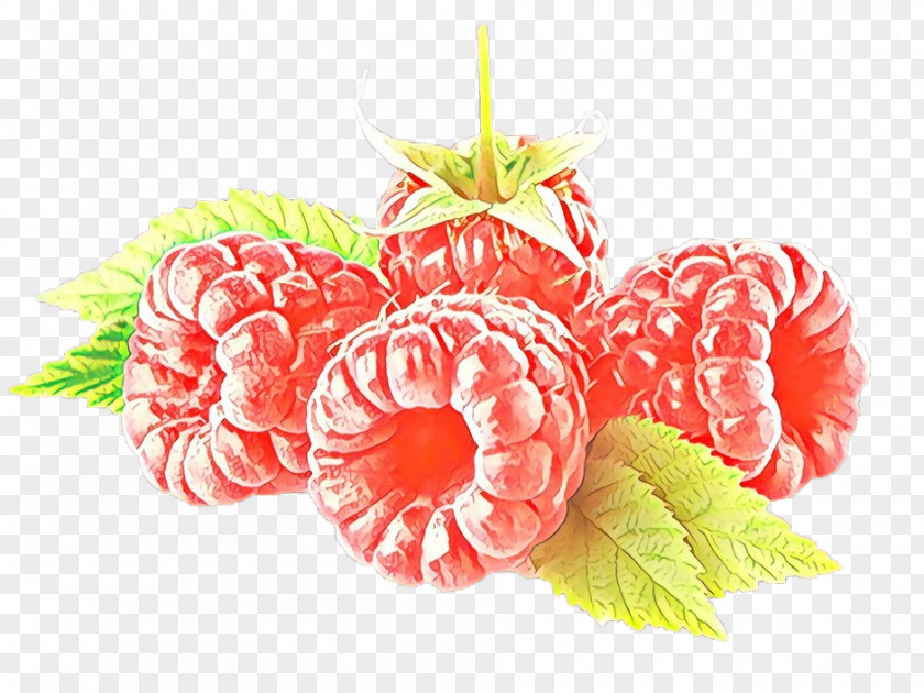 Pink Leaf Fruit Plant Food PNG