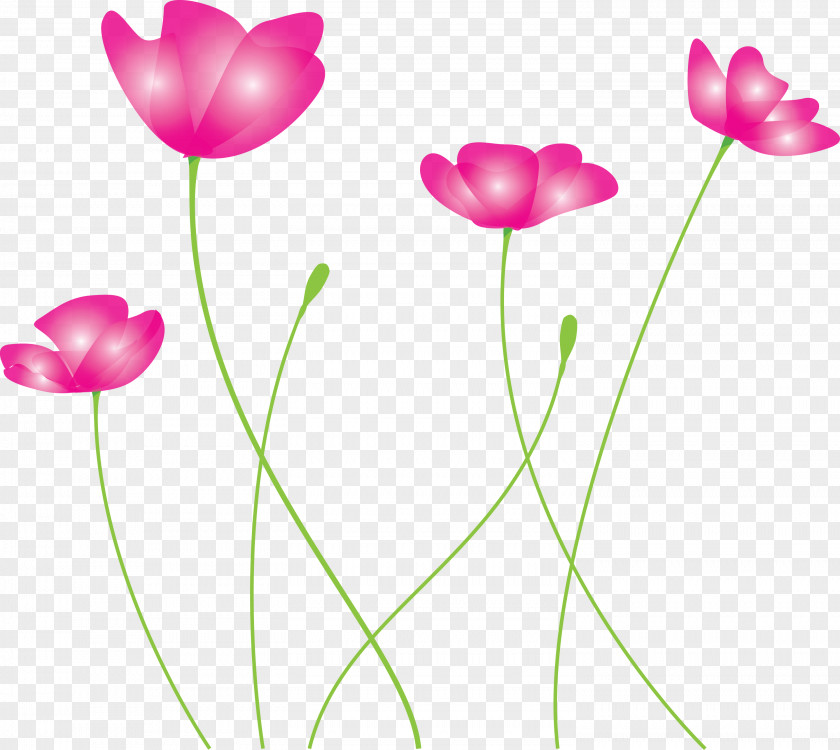 Poppy Flower PNG