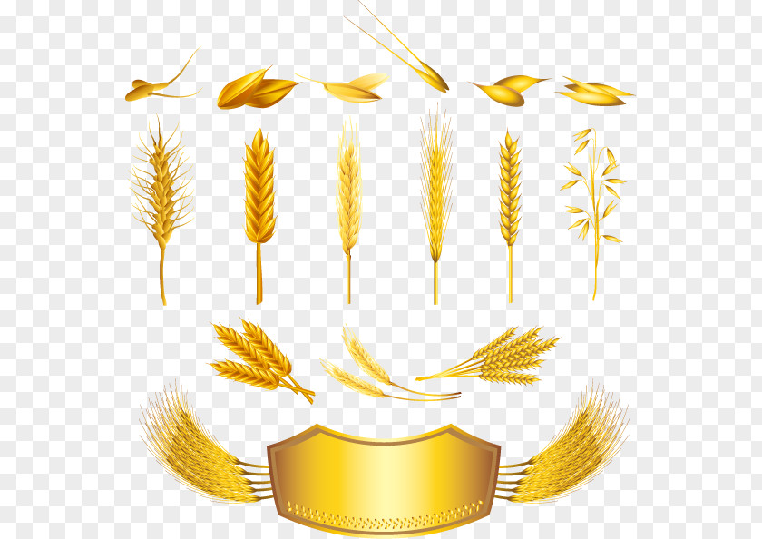 Decorative Wheat Bread Gold Label Cereal Ear Royalty-free PNG