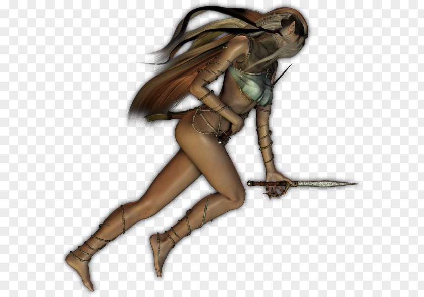 Elf Fairy Humanoid Rogue Drow PNG