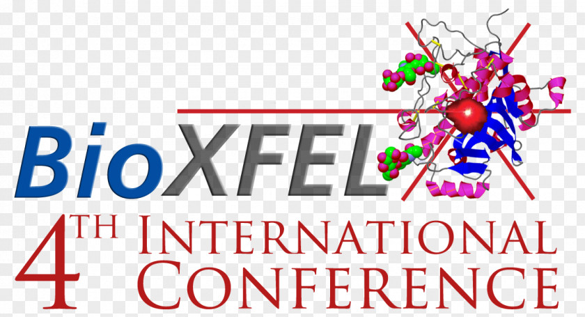 International Meeting University At Buffalo Georgia State Diffraction Methods In Structural Biology (GRS) PNG