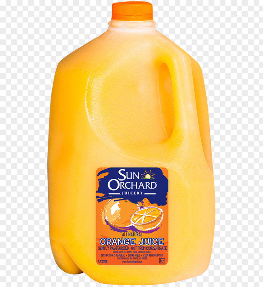 Orange Juice Fuzzy Navel Drink Grapefruit PNG
