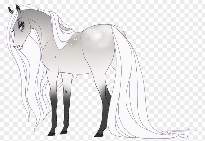 Fantasy Horse Mane Foal Mustang Stallion Colt PNG