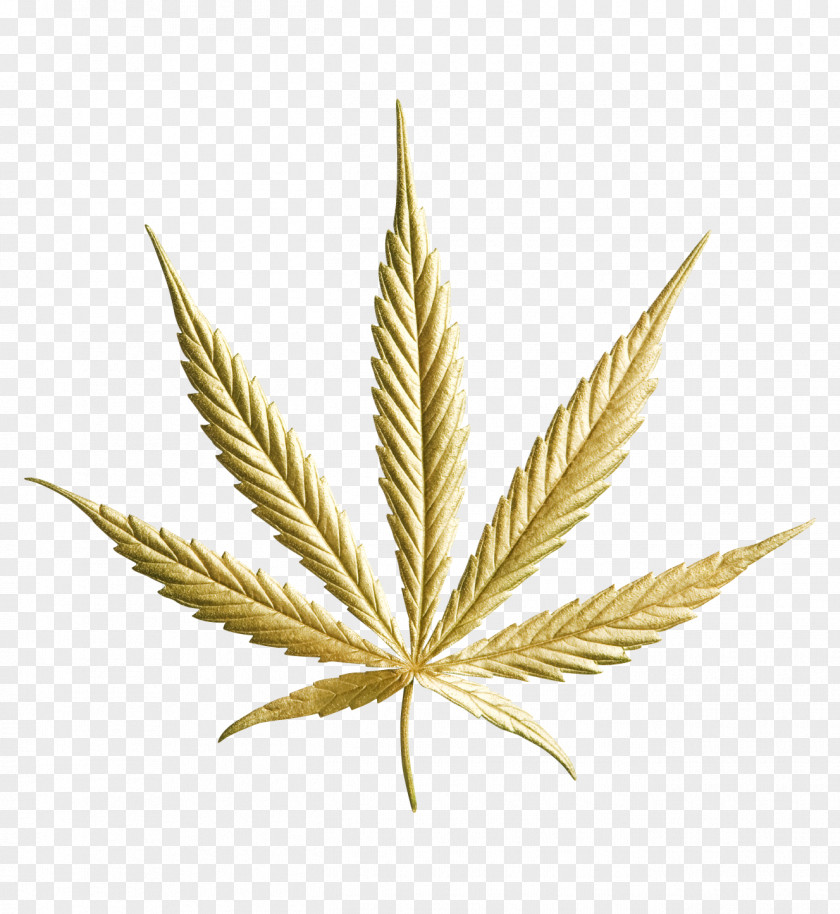 Marijuana Medical Cannabis Drug Kush Hemp PNG