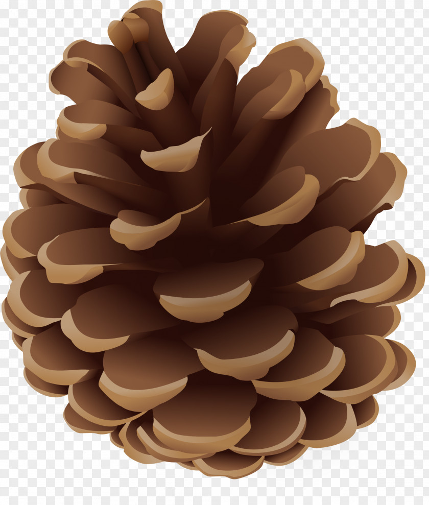 Coffee Simple Pine Cone Conifer Euclidean Vector PNG