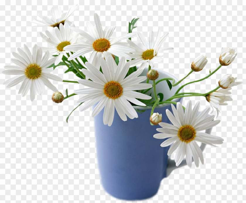Good Morning Flower Desktop Wallpaper Common Daisy Rose White PNG
