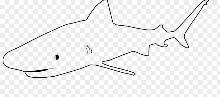 Shark Requiem White Marine Mammal Clip Art PNG