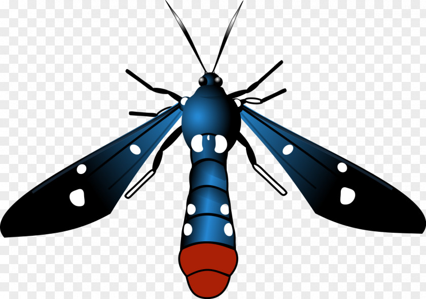 Wasp Butterfly Moth Syntomeida Epilais Insect Clip Art PNG