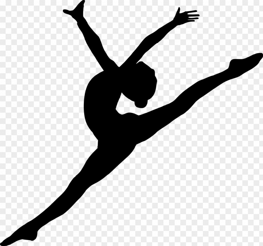 Artistic Gymnastics Blackandwhite Modern Background PNG