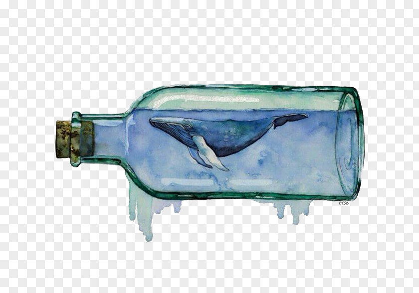 Blue Wishing Bottle Paper Watercolor Painting Drawing Whale PNG